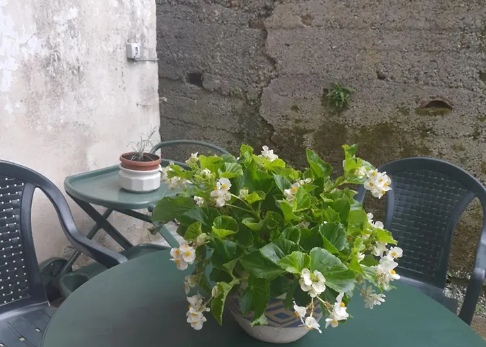 Casa Ponente Holiday home Sanremo